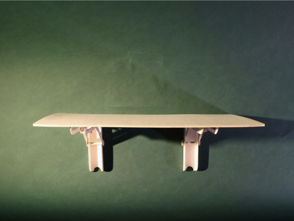 PollyLiu_Fall2024_02