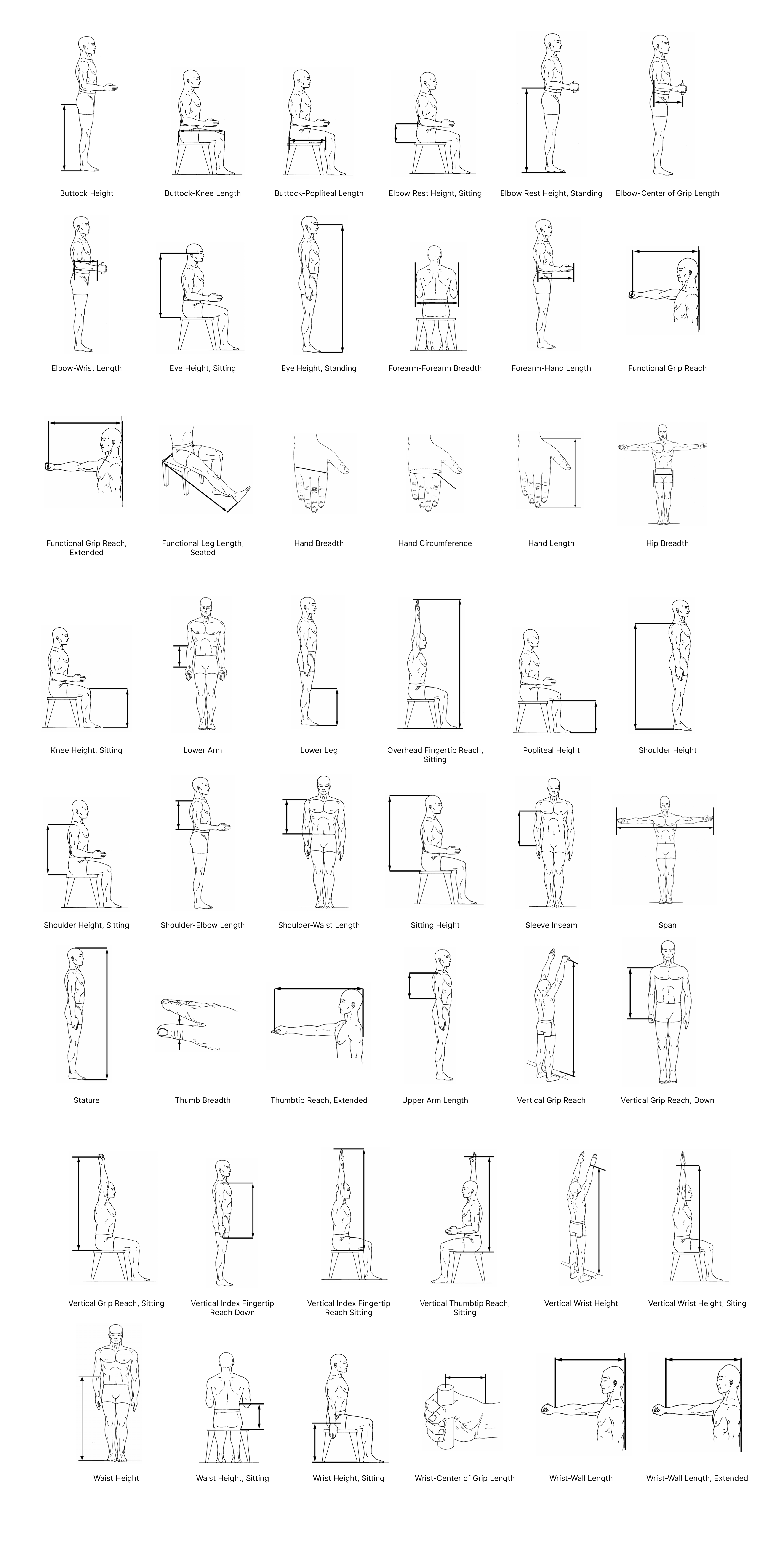 Anthropometric postures