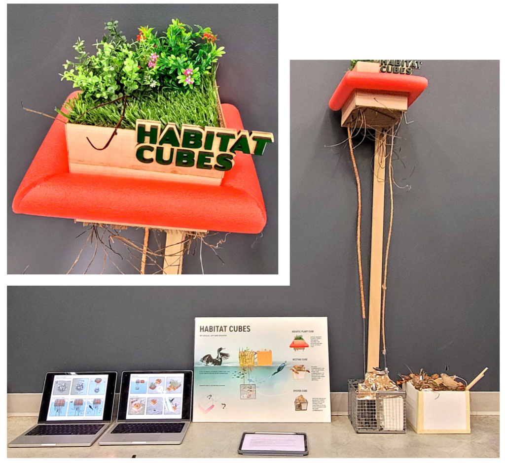 CecileNovel,JoyLi,ShaivyaGupta_Fall2024