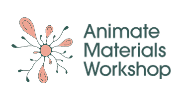 Animate Materials Workshop
