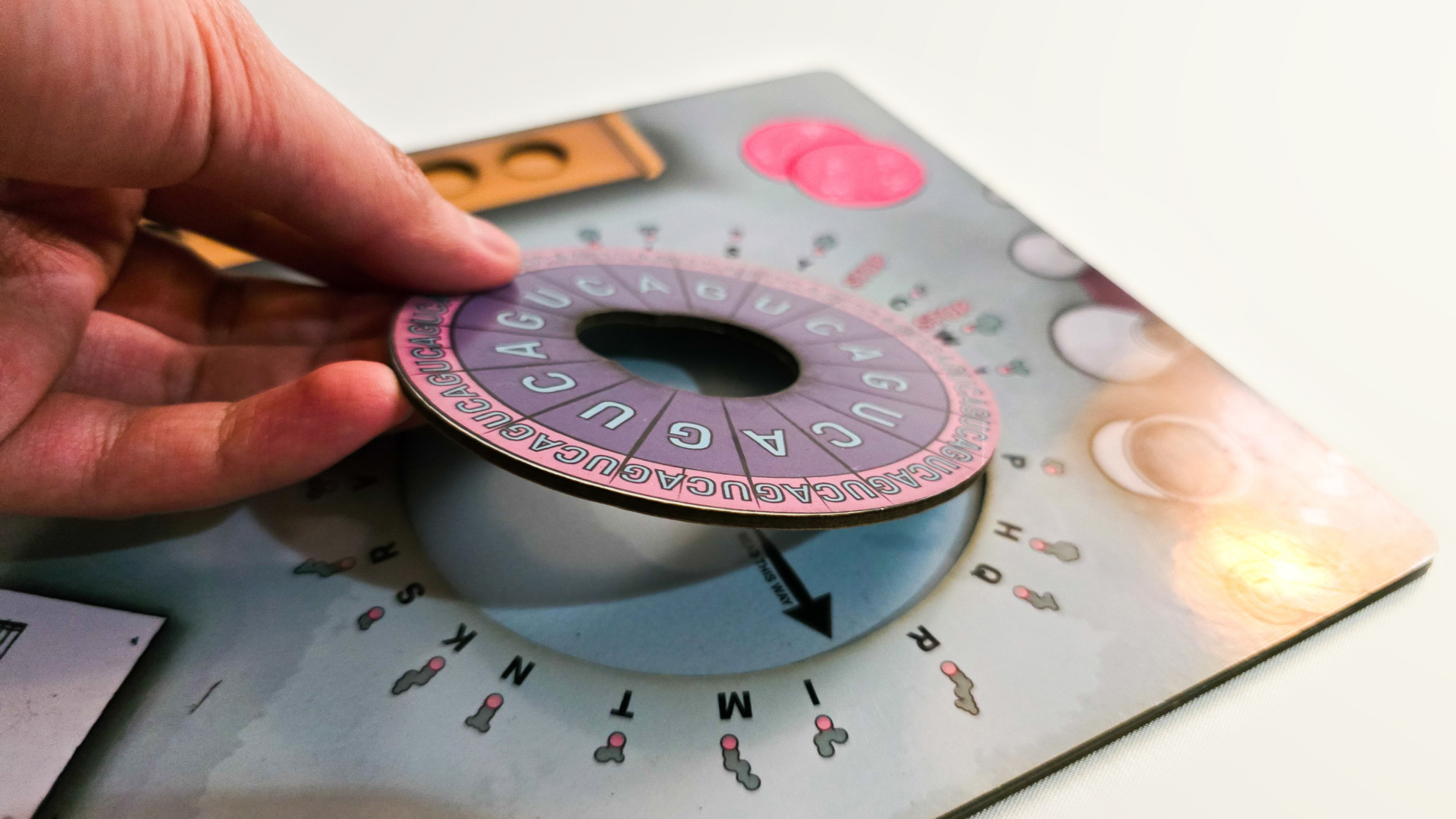 Transcribe to Survive